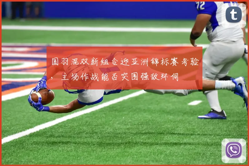 国羽混双新组合迎亚洲锦标赛考验，主场作战能否突围强敌环伺